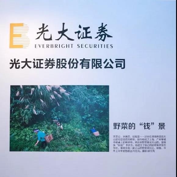 欧博abg官网(Allbet)会员登录入口