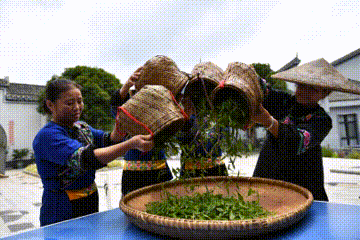 欧博abg官网(Allbet)会员登录入口