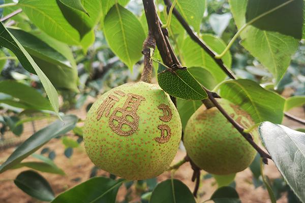 欧博abg官网(Allbet)会员登录入口